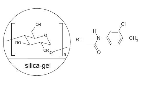 FLM Chiral NZ(2)