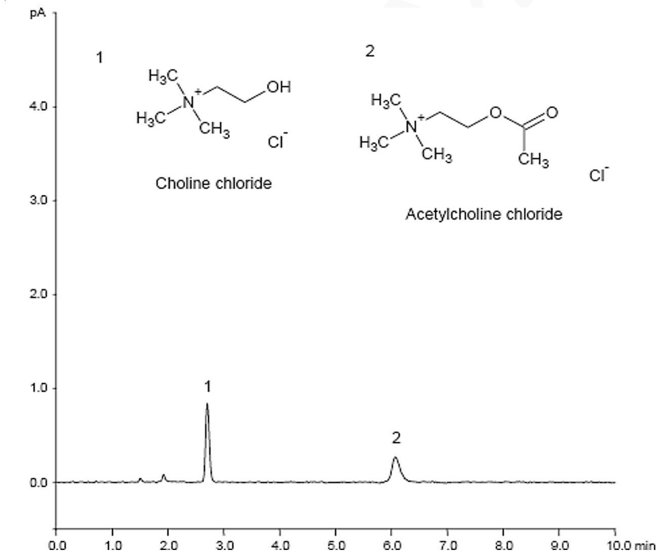 菲羅門液相色譜柱對乙酰膽堿和膽堿的分析